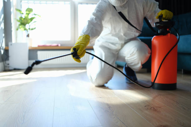 Reliable Sewage Cleanup contractor in Hesperia, CA by Trauma Clean Pros